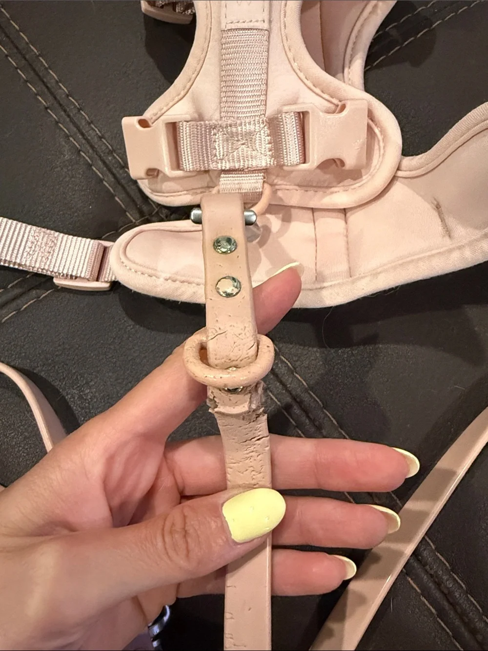 Wild One Pink Small Dog Harness, Leash, and Poop bag holder